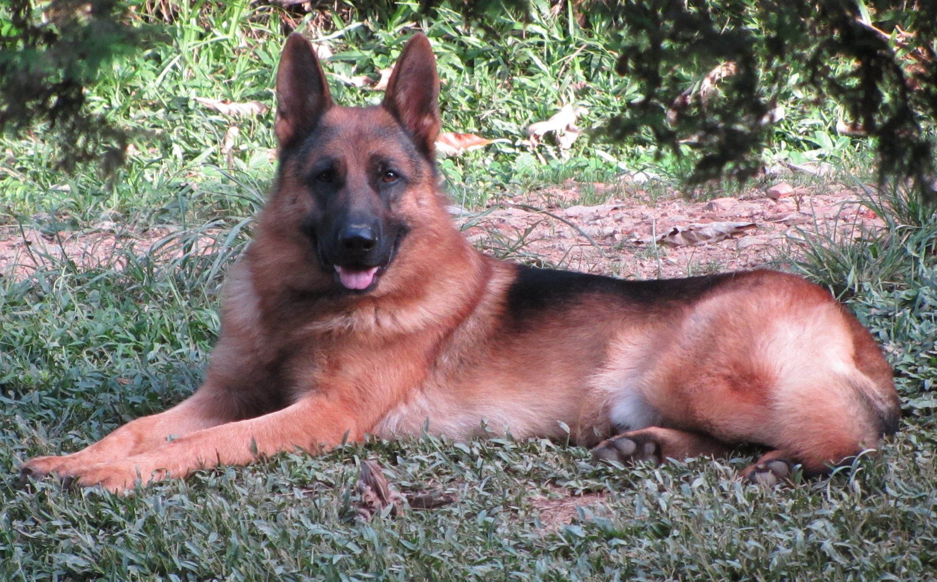 Unno Com 2 Anos De Idade